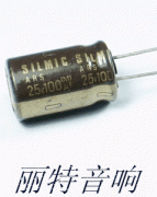 日本 ELNA SILMLC 100U/25V